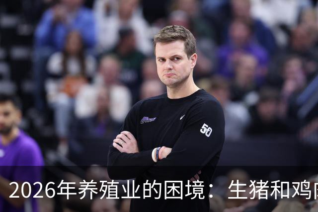 2026年养殖业的困境：生猪和鸡肉同时面临严峻亏损